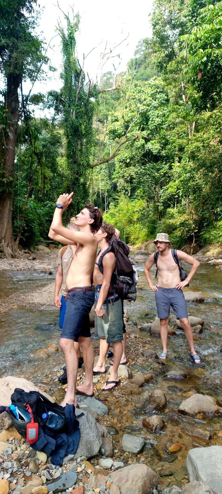 Hotel Asim Paris & Jungle Trekking Bukit Lawang