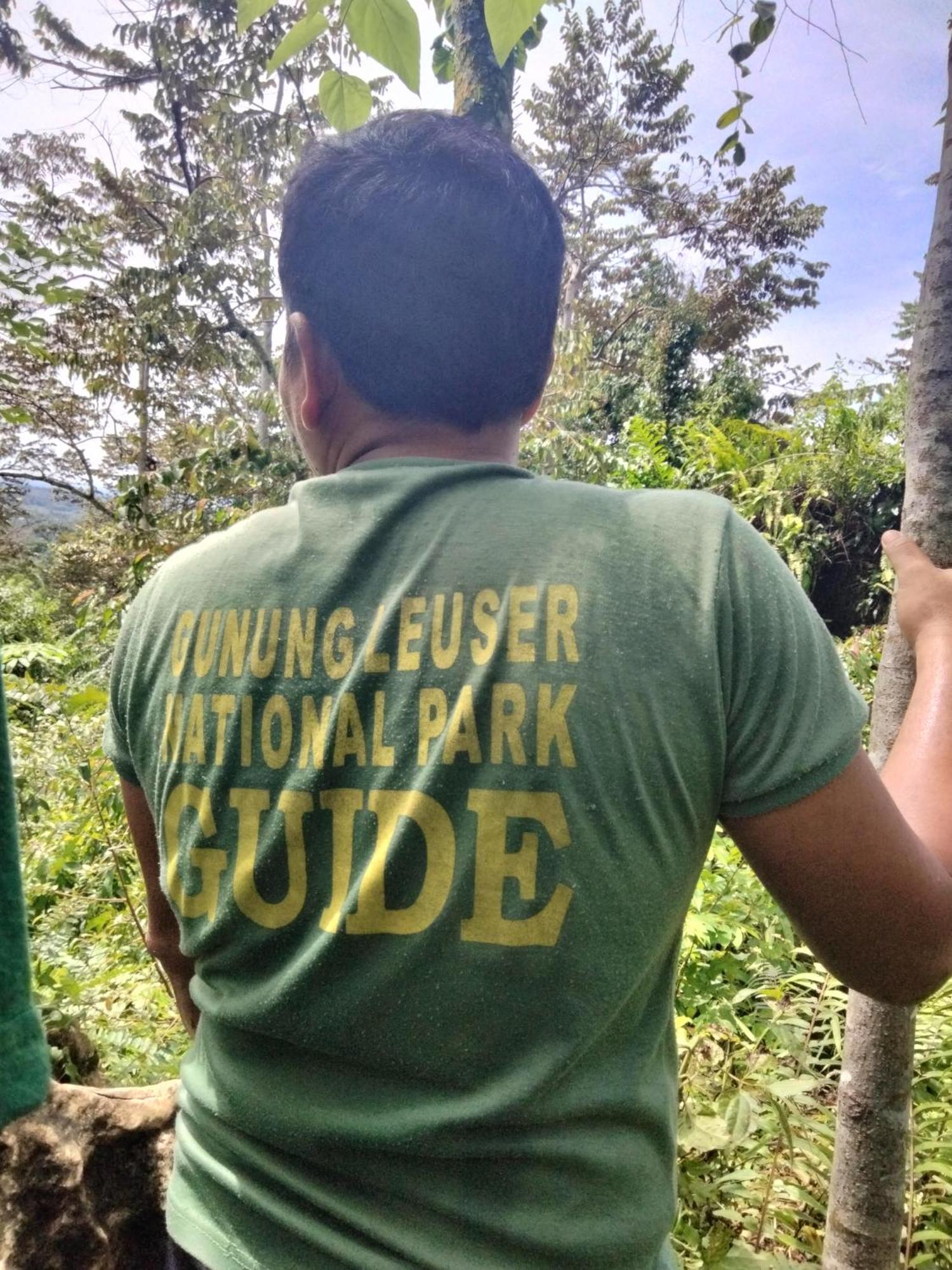 Asim Paris & Jungle Trekking 3* Bukit Lawang