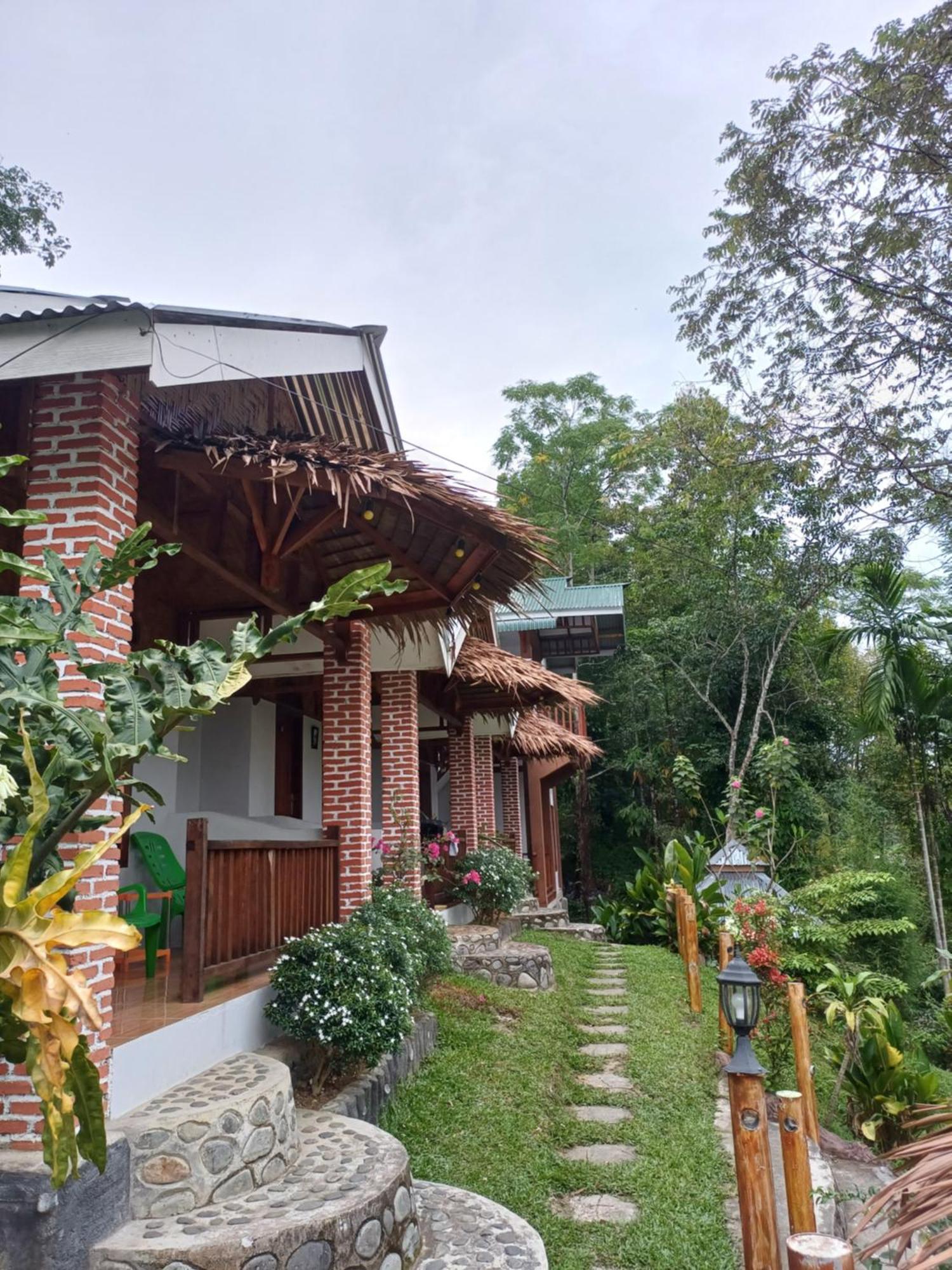 Asim Paris & Jungle Trekking Bukit Lawang